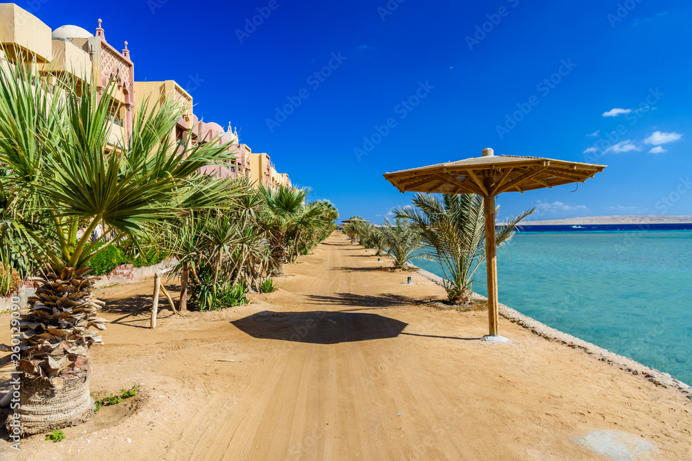 Rows of green palm trees on beach of the Red sea