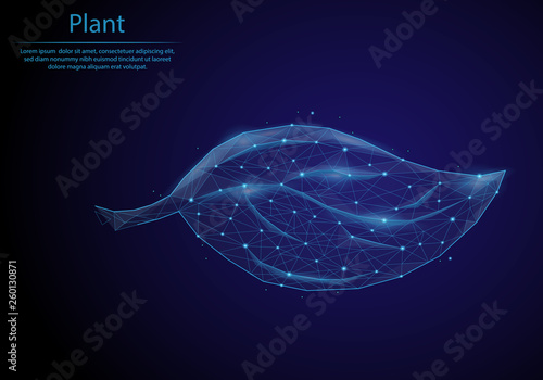 Abstract image leaf in the form of a starry sky or space, consisting of points, lines, and shapes in the form of planets. Low poly vector background.