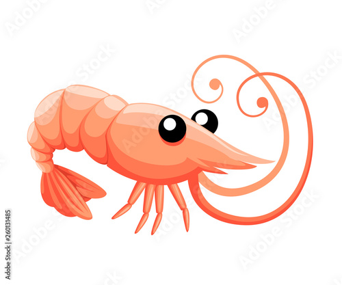 Cute shrimp. Cartoon animal character design. Swimming crustaceans. Flat vector illustration isolated on white background