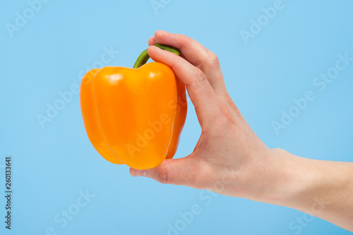 Hand holding organic delicious pepper Isolated on red Background. Healthy eating and dieting concept