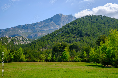 Montagne Sainte Victoire au printemps. Provence, France. 