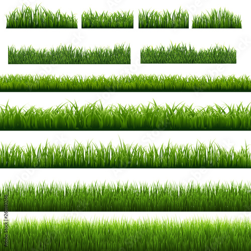 Big Set Green Grass Borders Isolated