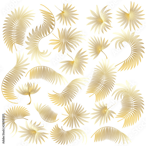 Set tropical leaf isolated. Vector illustration. 