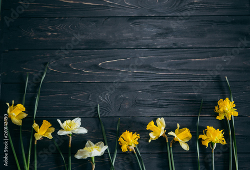 Fototapeta Naklejka Na Ścianę i Meble -  Yellow narcissus or daffodil flowers on wooden background