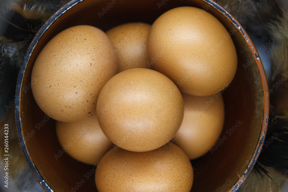 Easter eggs on a white background Easter eggs on a white background