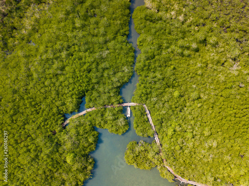 Aerial view of green mangrove forest with boardwalk from the drone. Koh Chang island, Thailand. photo