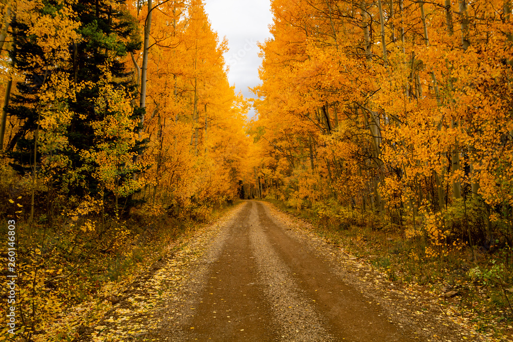 Autumn Color in San Juan and Rocky Mountains of Colorado