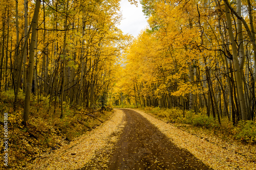 Autumn Color in San Juan and Rocky Mountains of Colorado