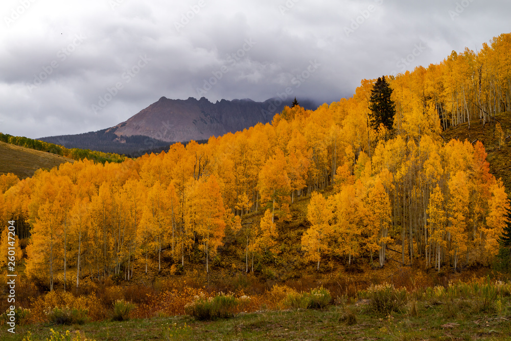Fototapeta premium Autumn Color in San Juan and Rocky Mountains of Colorado