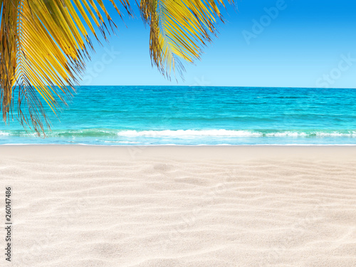 Coconut palm leaves hanging over the tropical white sandy beach and turquoise sea.