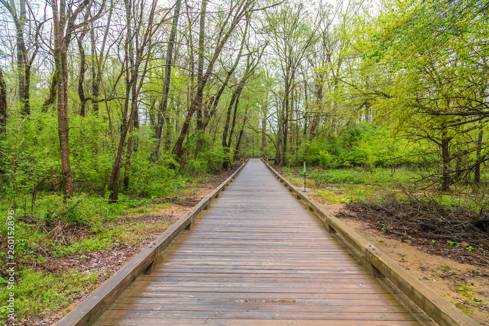 A treated lumber fitness trail through woods in the spring