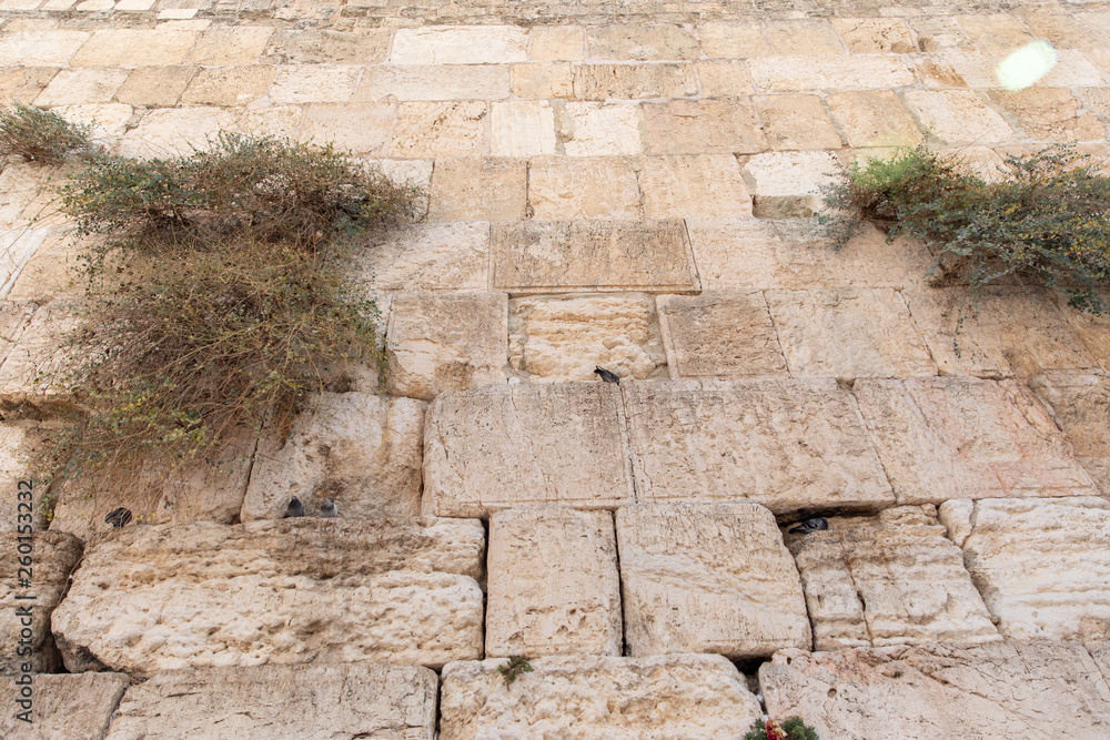 Looking Up at The Western Wall in The Holy Land, Jerusalem, Israel Looking Up at The Western Wall in The Holy Land, Jerusalem, Israel