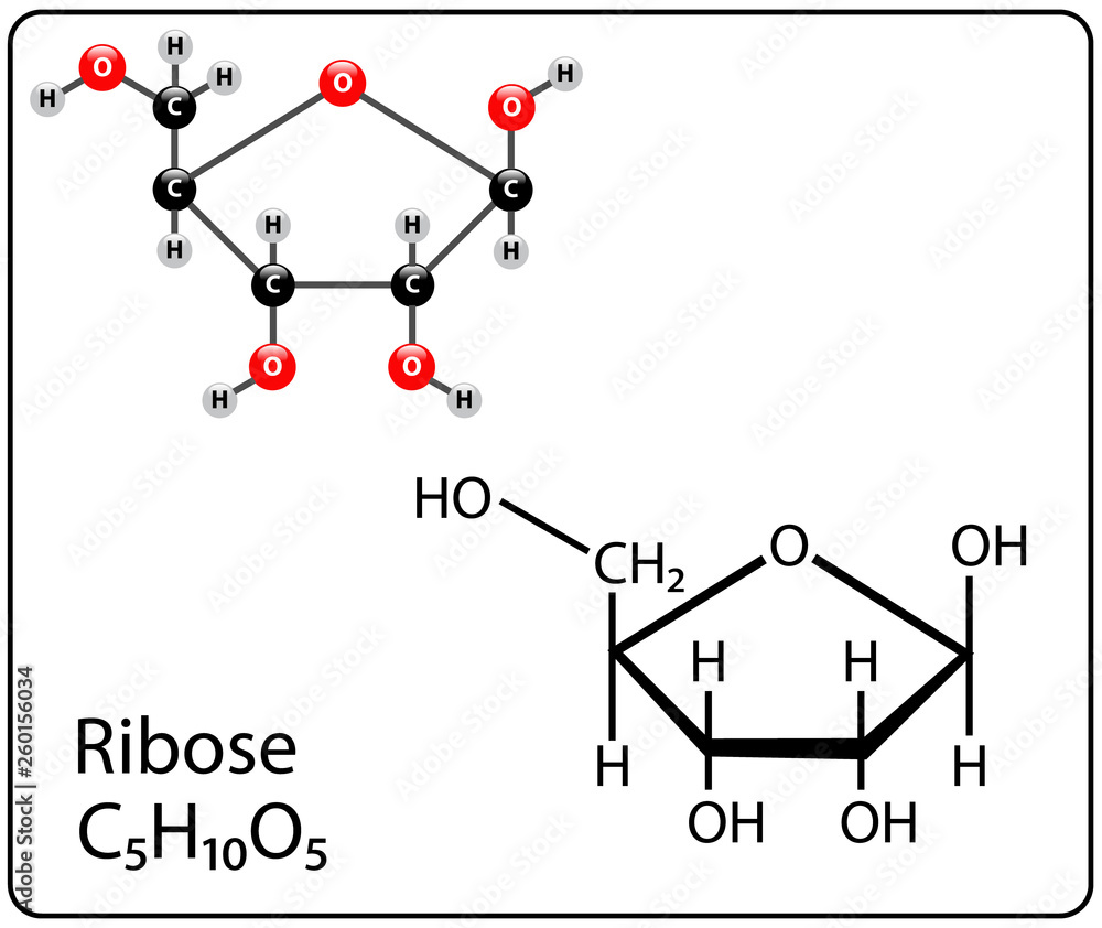 Ribose Molecule Structure Stock Vector Adobe Stock