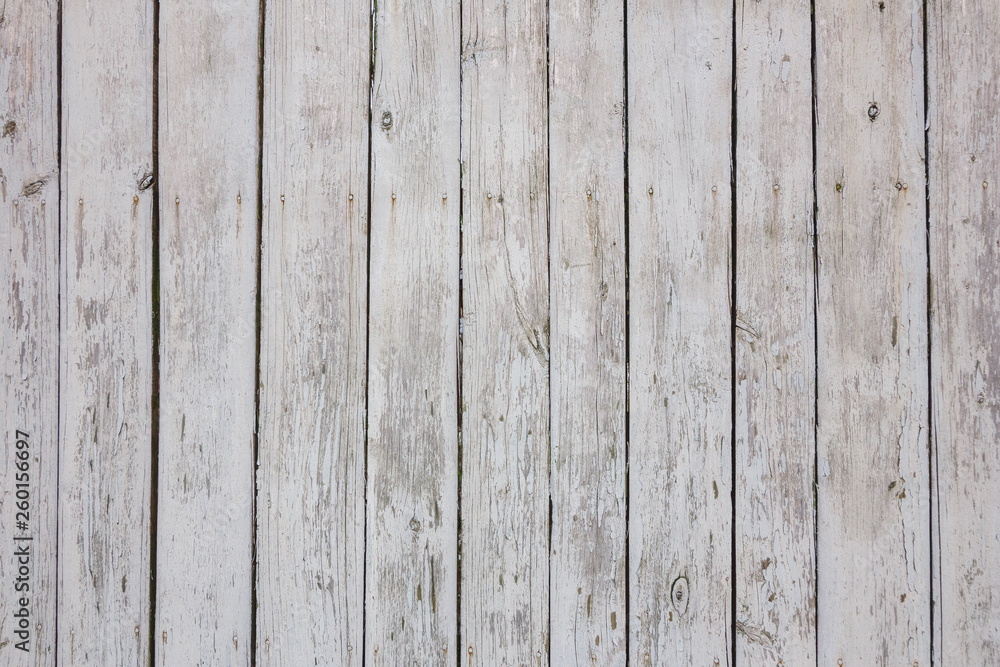 The texture of the old shabby fence of painted white paint boards The texture of the old shabby fence of painted white paint boards