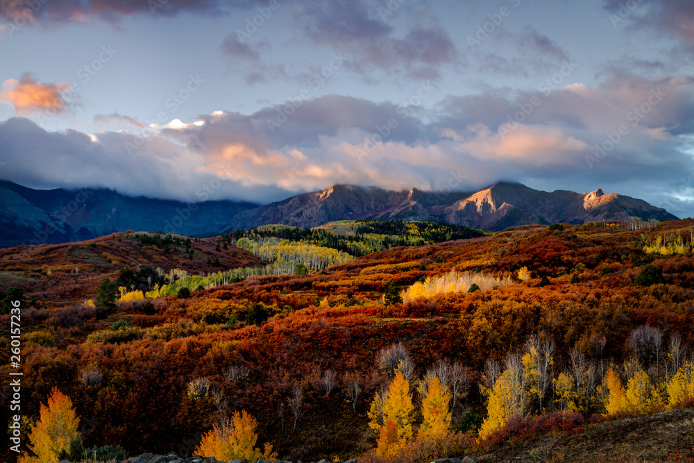 Autumn Color in San Juan  of Colorado near Ridgway and Telluride