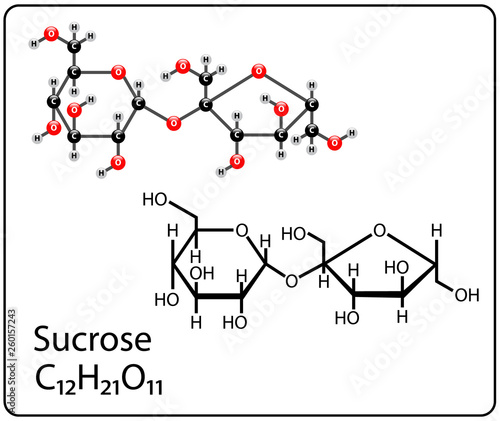 Sucrose Molecule Structure
