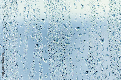 Water Droplets