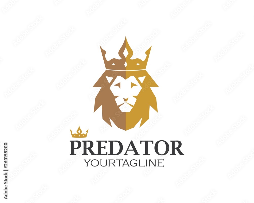 lion logo vector illustration