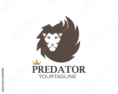 lion logo vector illustration