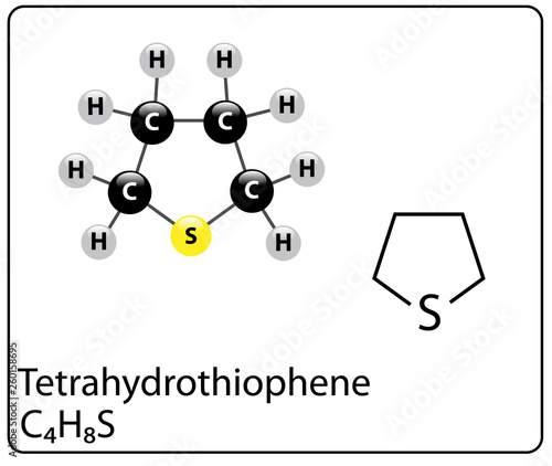Tetrahydrothiophene Molecule Structure