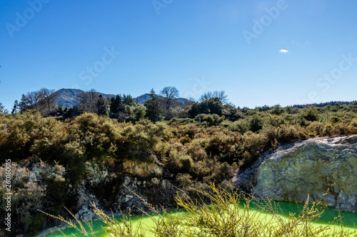 The green colour comes from colloidal sulphur and ferous silts, Wai-O-Tapu, Rotorua, New Zealand photo