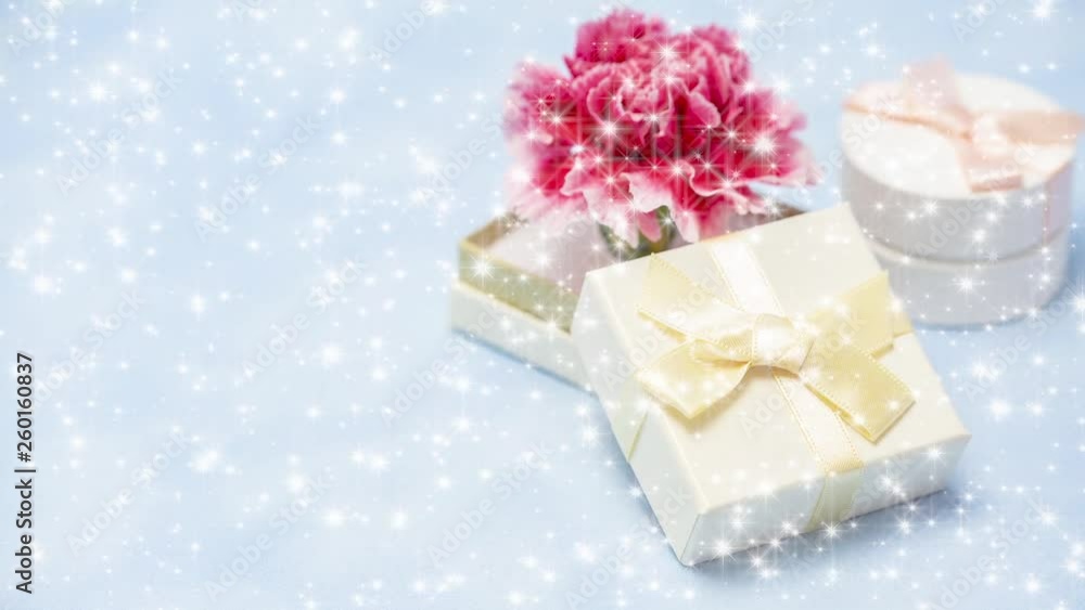 母の日　プレゼントギフトにキラキラ合成