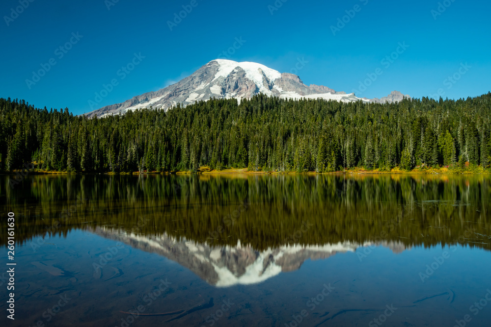 Mount Rainier and Pine Trees Reflect in Blue Lake