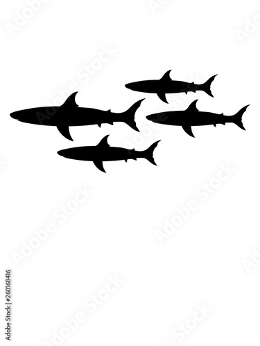Photos hai schwarm viele crew silhouette umriss kontur schwarz schwimmen tauchen wasser