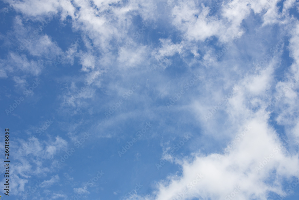 Fototapeta premium clouds in the blue sky
