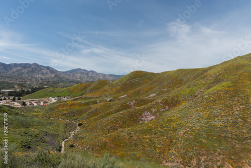 Beautiful superbloom vista in the Walker Canyon mountain range near Lake Elsinore, Southern California