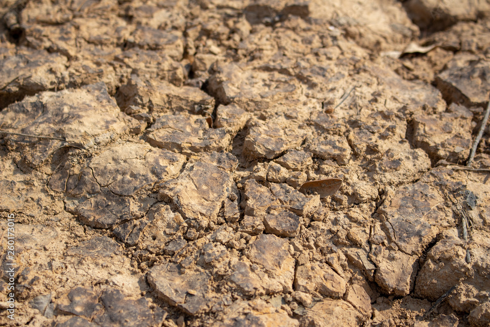 Land with dry and cracked ground Land with dry and cracked ground