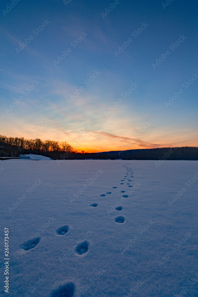 Fototapeta premium Frozen Lake