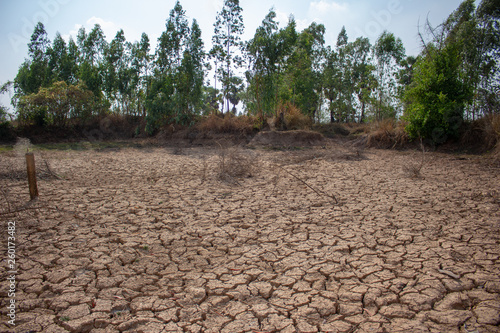 Land with dry and cracked ground