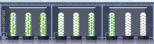 modern organic hydroponic vertical farm interior agriculture smart farming system concept green plants growing industry horizontal banner flat
