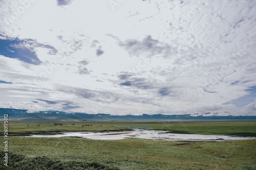 Landscape with Big Migration in Ngorongoro photo