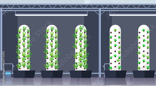modern organic hydroponic vertical farm interior agriculture smart farming system concept green plants growing industry horizontal flat