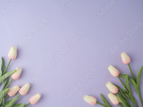 Spring tulip flowers on purple background
