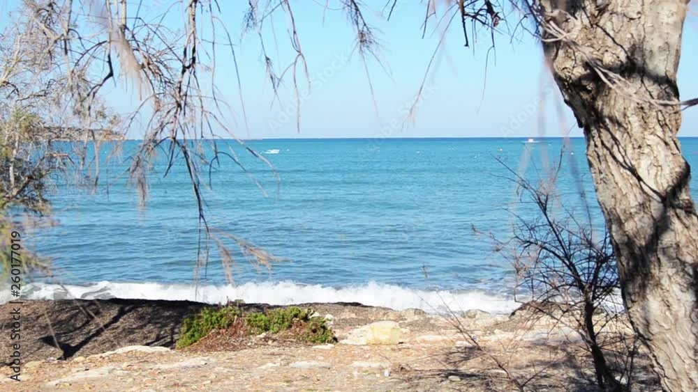 sea waves sceene looking through tree branches, sunny day, static shoot sea waves sceene looking through tree branches, sunny day, static shoot