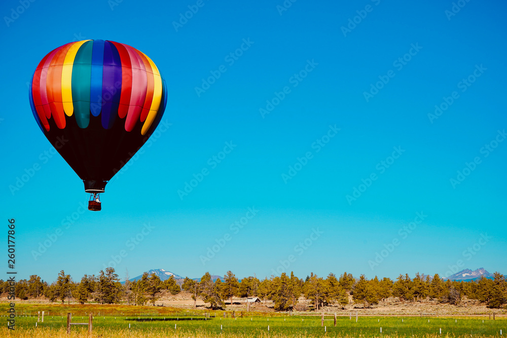 Naklejka premium Hot Air Balloon Landscape
