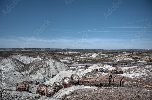 Petrified Forest multicolored wood © Lost_in_the_Midwest