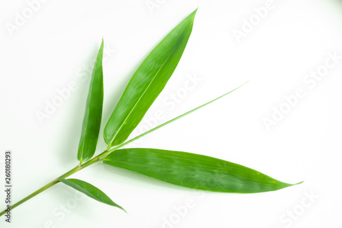 Fototapeta Naklejka Na Ścianę i Meble -  bamboo leaf isolated white background