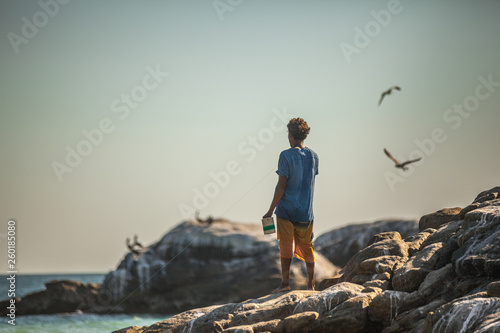 The kid on the cliff staring at the ocean and the seagull in the horizon