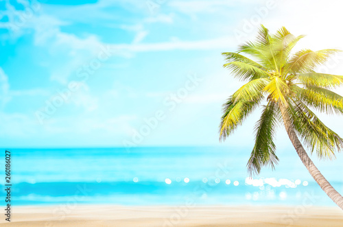 Blur beautiful nature green palm leaf on tropical beach with bokeh sun light wave abstract background.