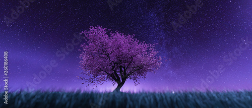 Garden of heaven,Background of sakura tree flower at night sky,3d rendering photo