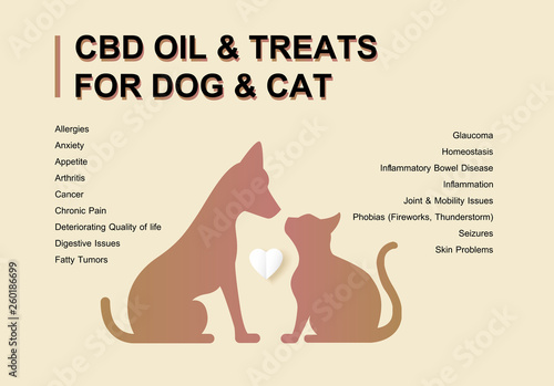 phytocannabinoids & healthy pets dog and cat