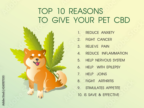 top 10 reasons ti give your pet cbd