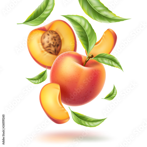 Vector peach nectarine leaf slice swirl motion