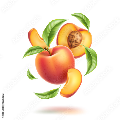 Vector peach nectarine leaf slice swirl motion