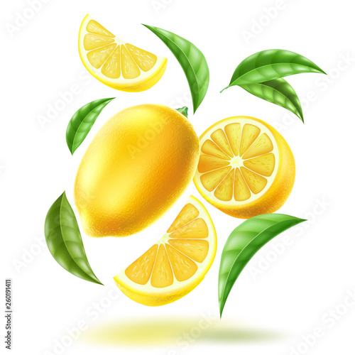 Vector realistic lemon slice fruit leaves motion