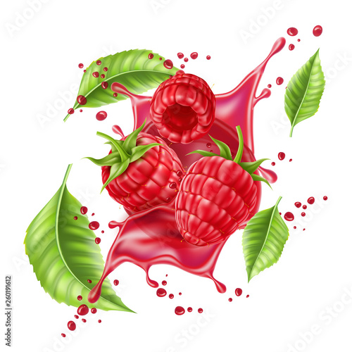 Vector realistic raspberry splash flow with leaves